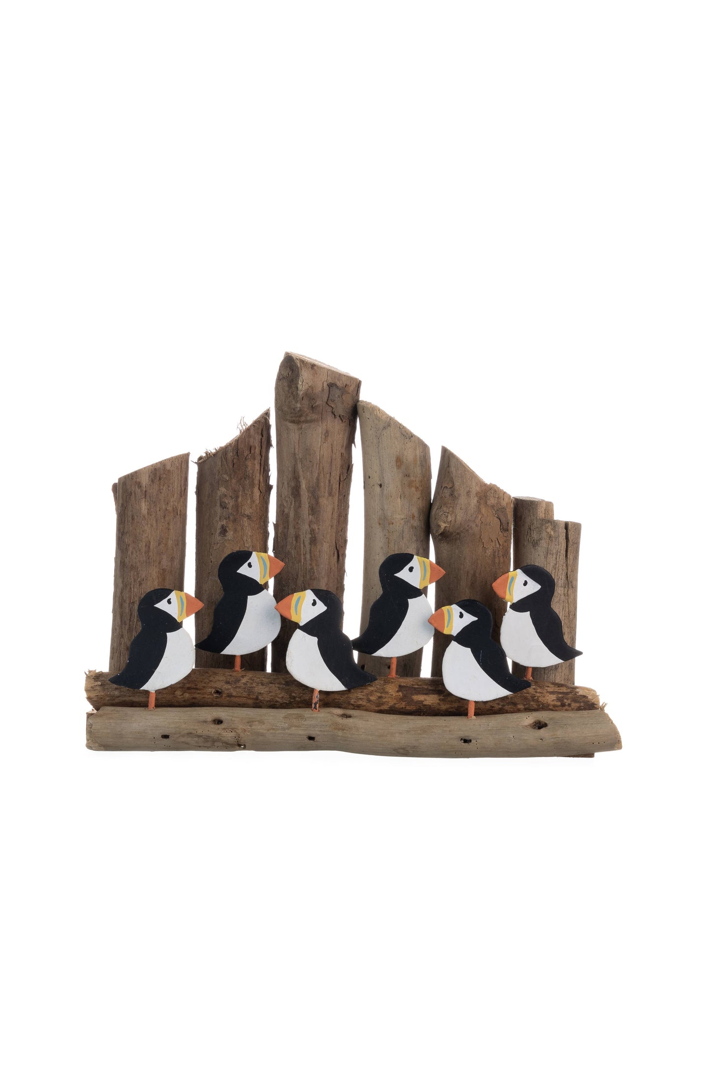 Six Puffins with Groynes Scene