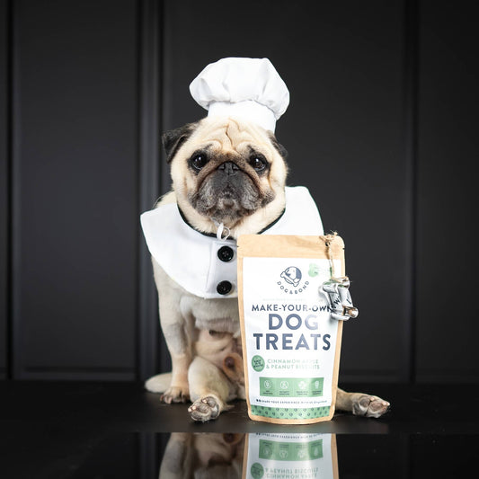 Make-Your-Own Dog Treats: Cinnamon Apple & Peanut Flavour
