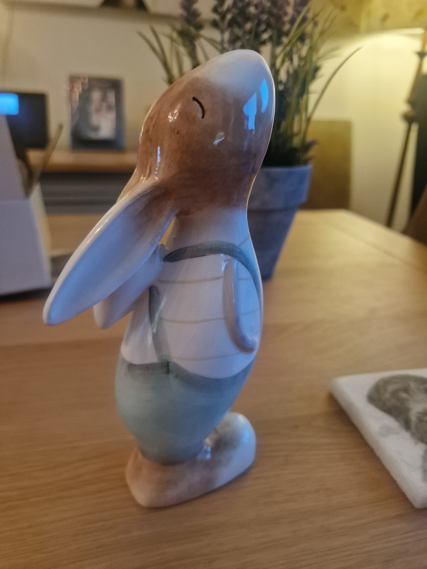 Large pretty Gazing Hare