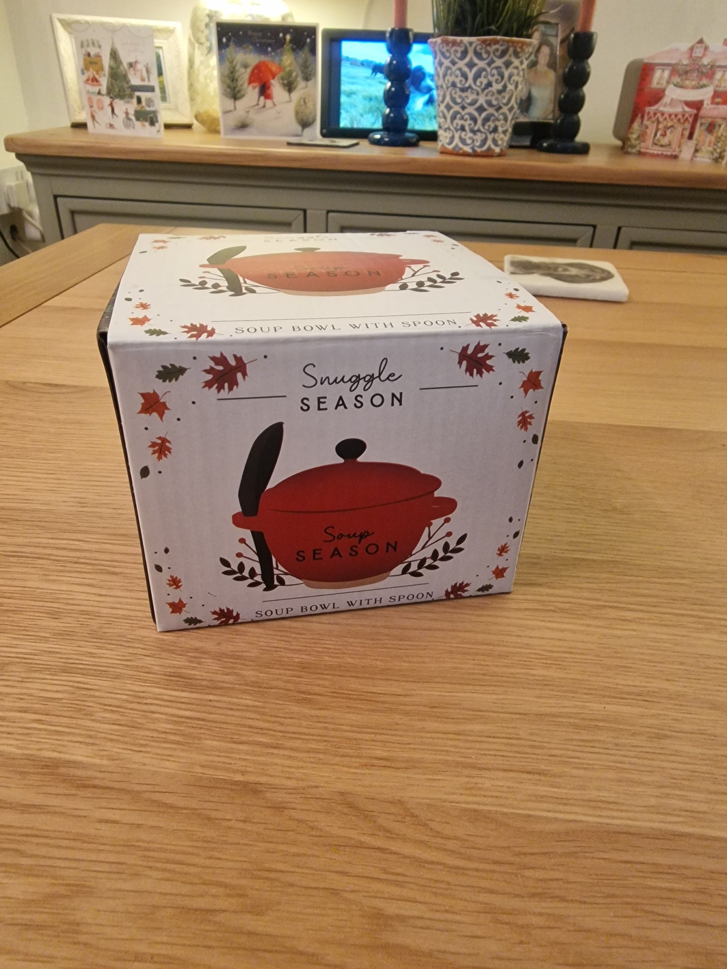 Red Stoneware Soup Bowl with Lid and Spoon