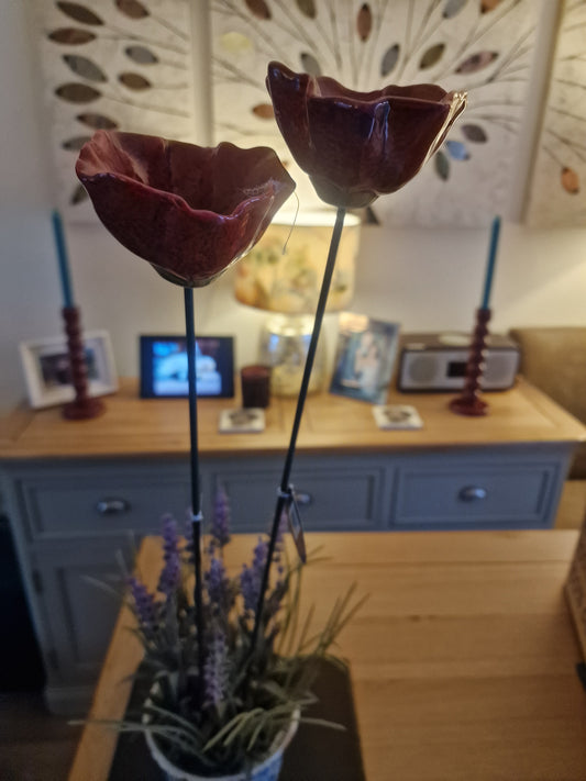 Two- 3A Large Garden Poppy Stakes, 57cm