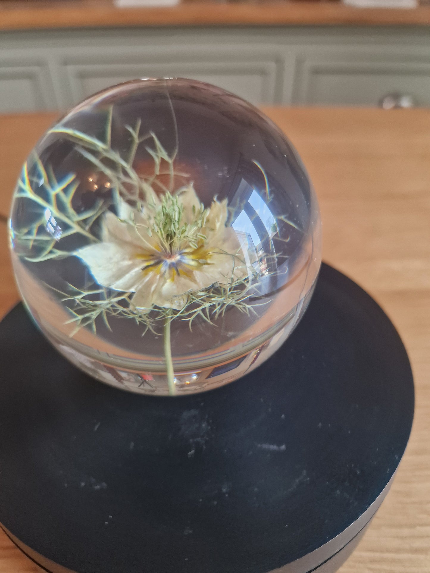 Fennel Flower Crystal Resin Lens Ball 80mm