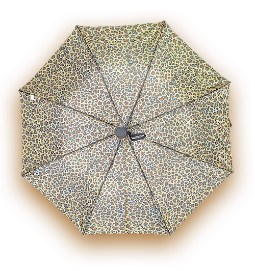 Auto Open Compact Umbrella - 3 Patterns - L31cm Closed