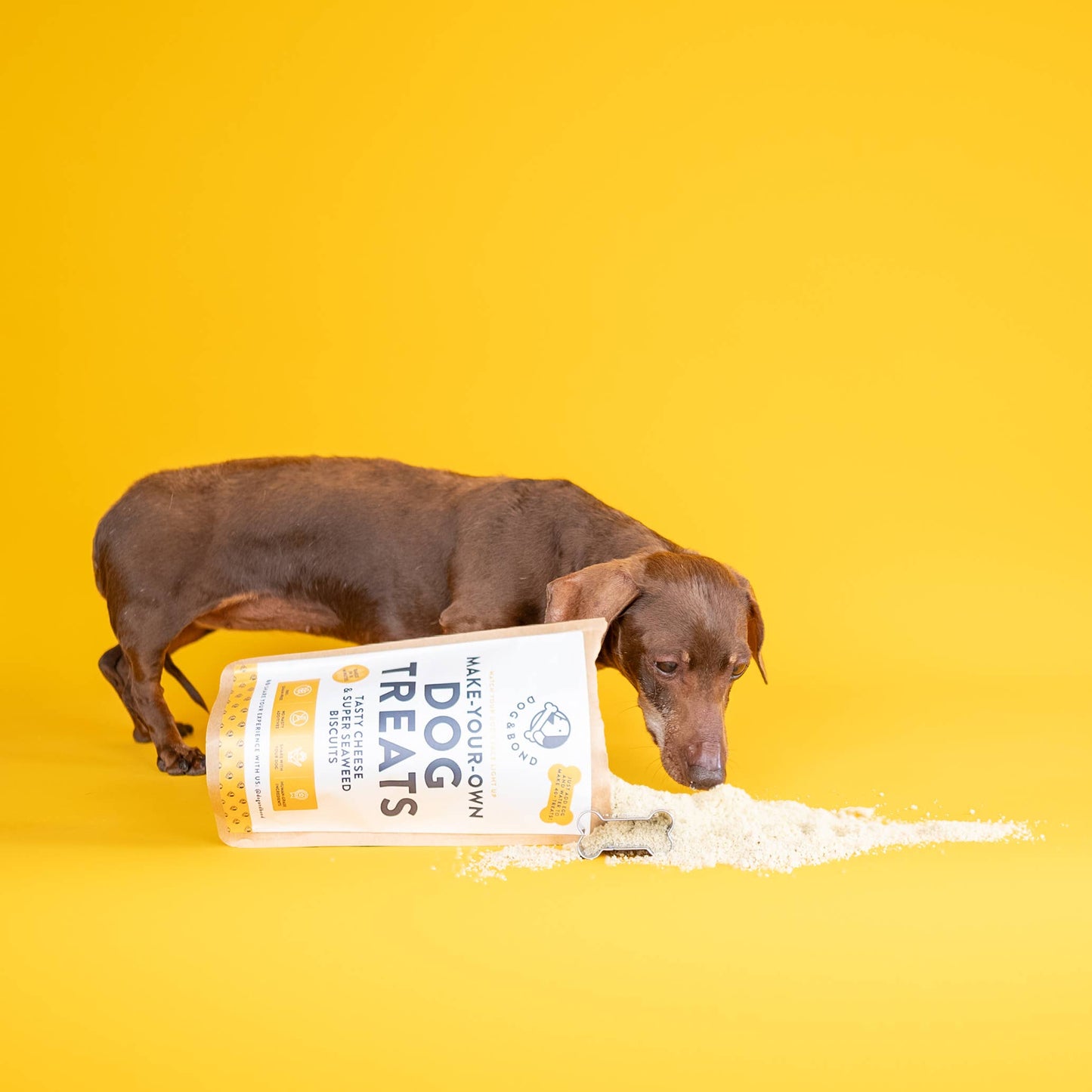 Make-Your-Own Dog Treats: Tasty Cheese & Super Seaweed