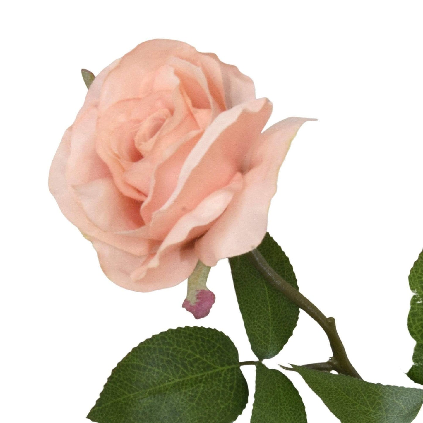 Artificial Open Rose - Light Peach H54cm