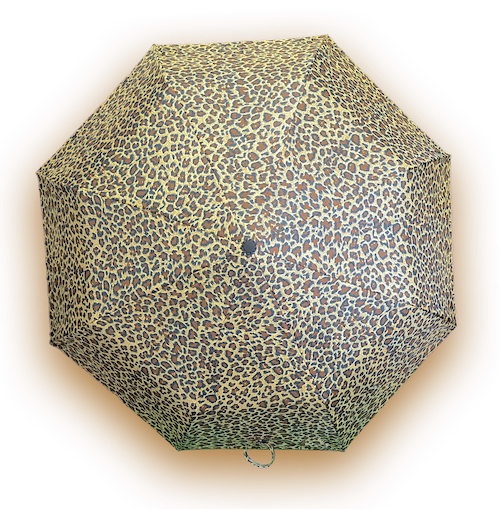 Auto Open Compact Umbrella - 3 Patterns - L31cm Closed