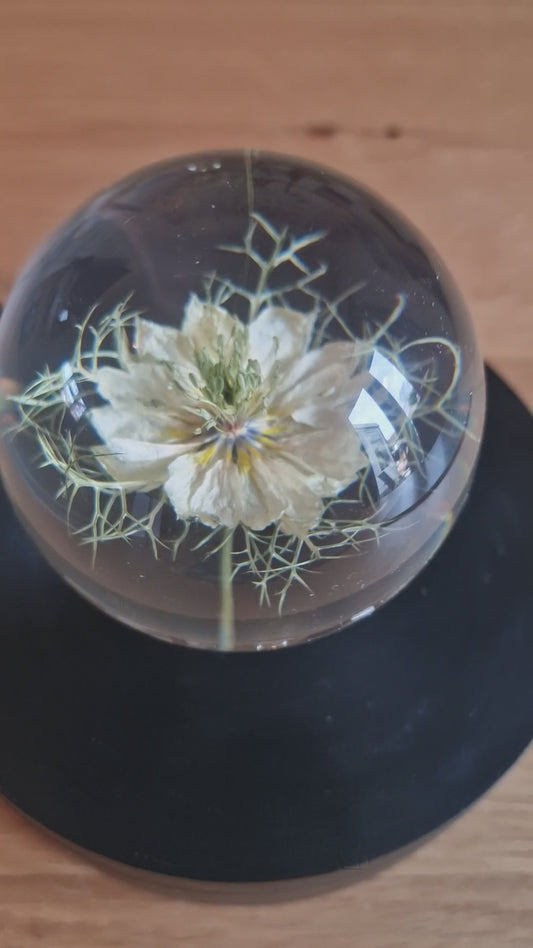 Fennel Flower Crystal Resin Lens Ball 80mm